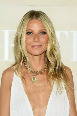 Gwyneth Paltrow / GwynethPaltrow nude photo #0089