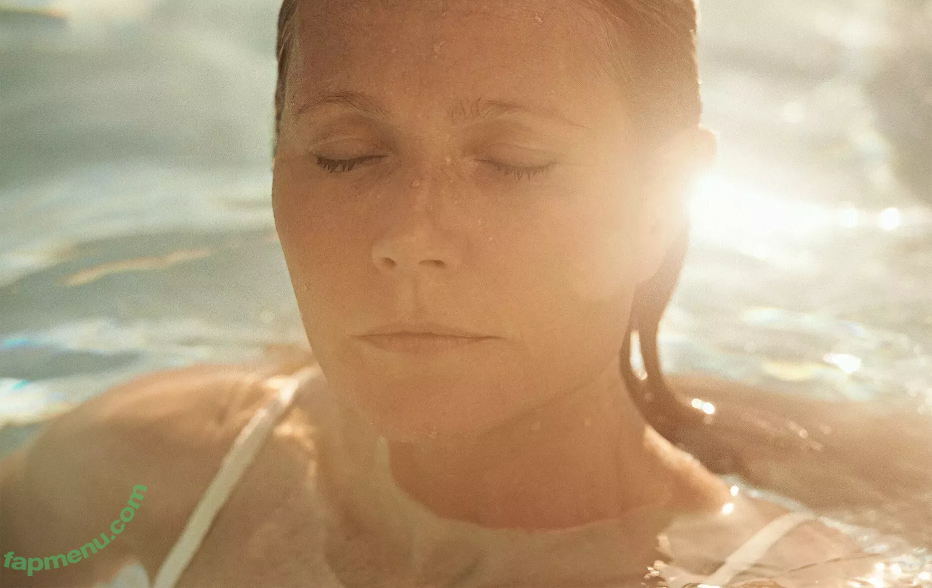 Gwyneth Paltrow nude photo #0017 (GwynethPaltrow)