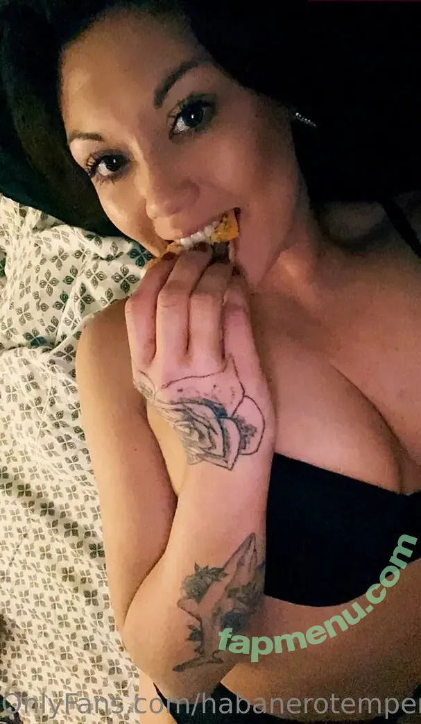 habanerotemper nude photo #0008 (habanerohitman)