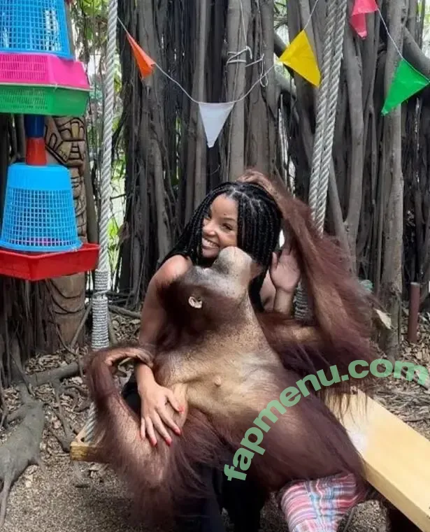 Halle Bailey nude photo #0016 (chloebaileyyy / hallebailey)