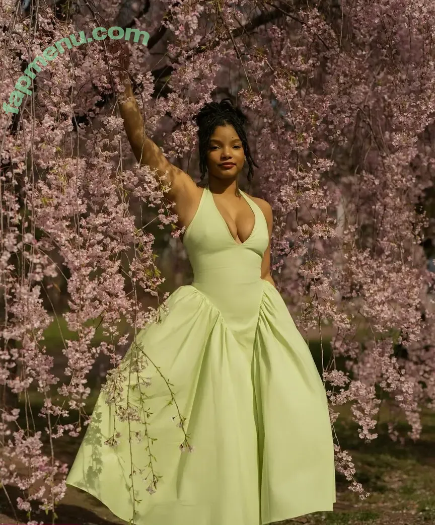 Halle Bailey nude photo #0021 (chloebaileyyy / hallebailey)