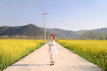 Hoshilily / hoshilily1 / hoshilily_cos / 星之迟迟 nude photo #1624
