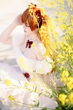 Hoshilily / hoshilily1 / hoshilily_cos / 星之迟迟 nude photo #1640