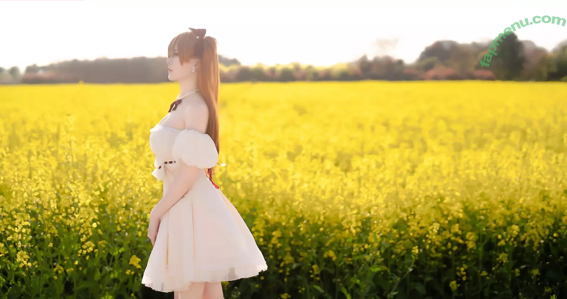 Hoshilily nude photo #1633 (hoshilily1 / hoshilily_cos / 星之迟迟)