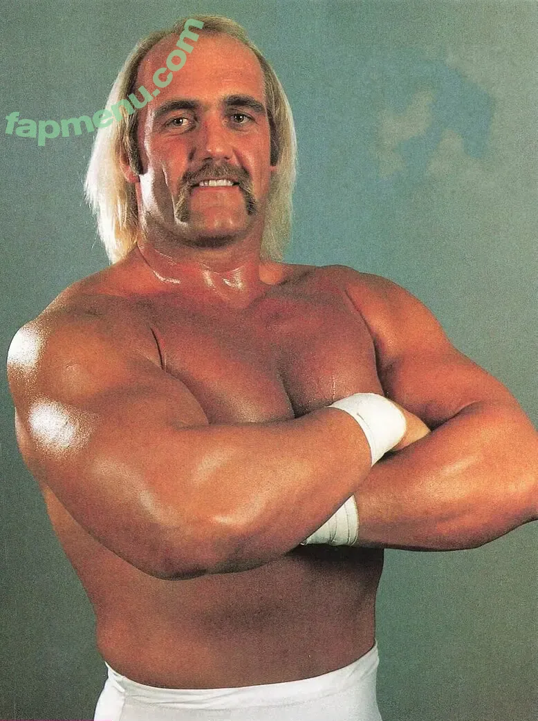 Hulk Hogan nude photo #0001 (Hulk Hogan)
