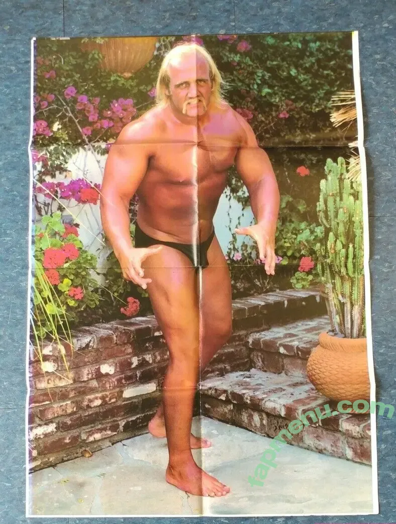 Hulk Hogan nude photo #0002 (Hulk Hogan)
