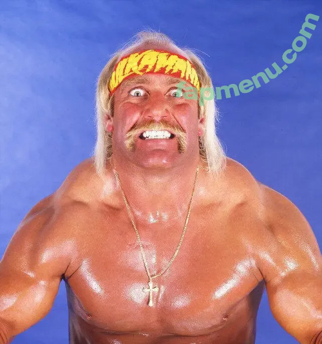 Hulk Hogan nude photo #0003 (Hulk Hogan)