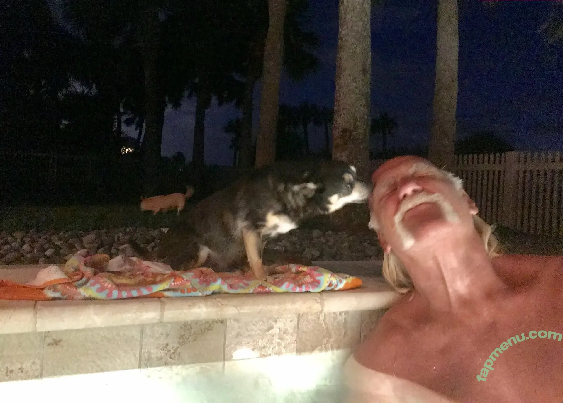 Hulk Hogan nude photo #0010 (Hulk Hogan)