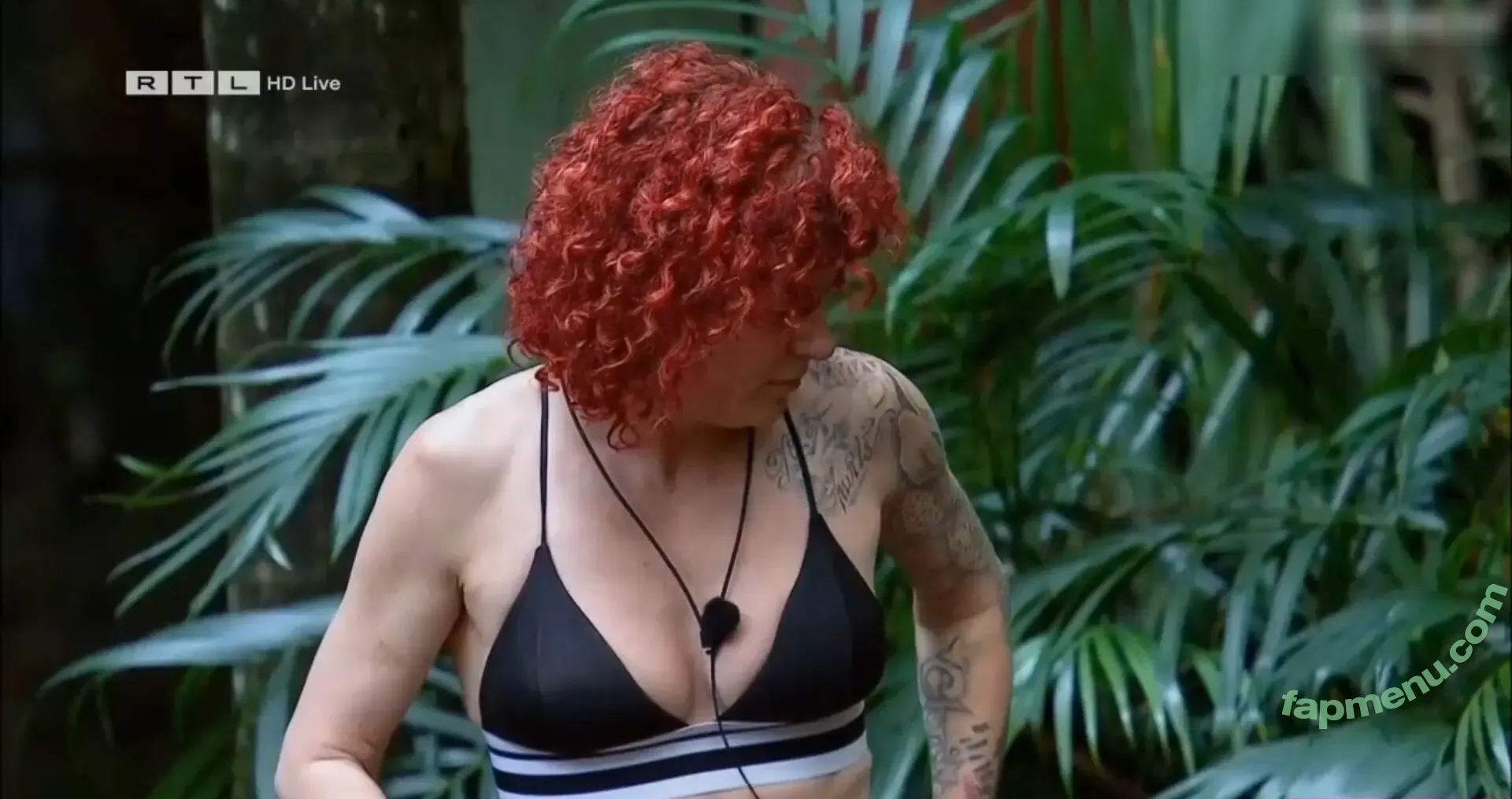 Ich bin ein Star – Holt mich hier raus! nude photo #0095 (ichbineinstar.rtl)