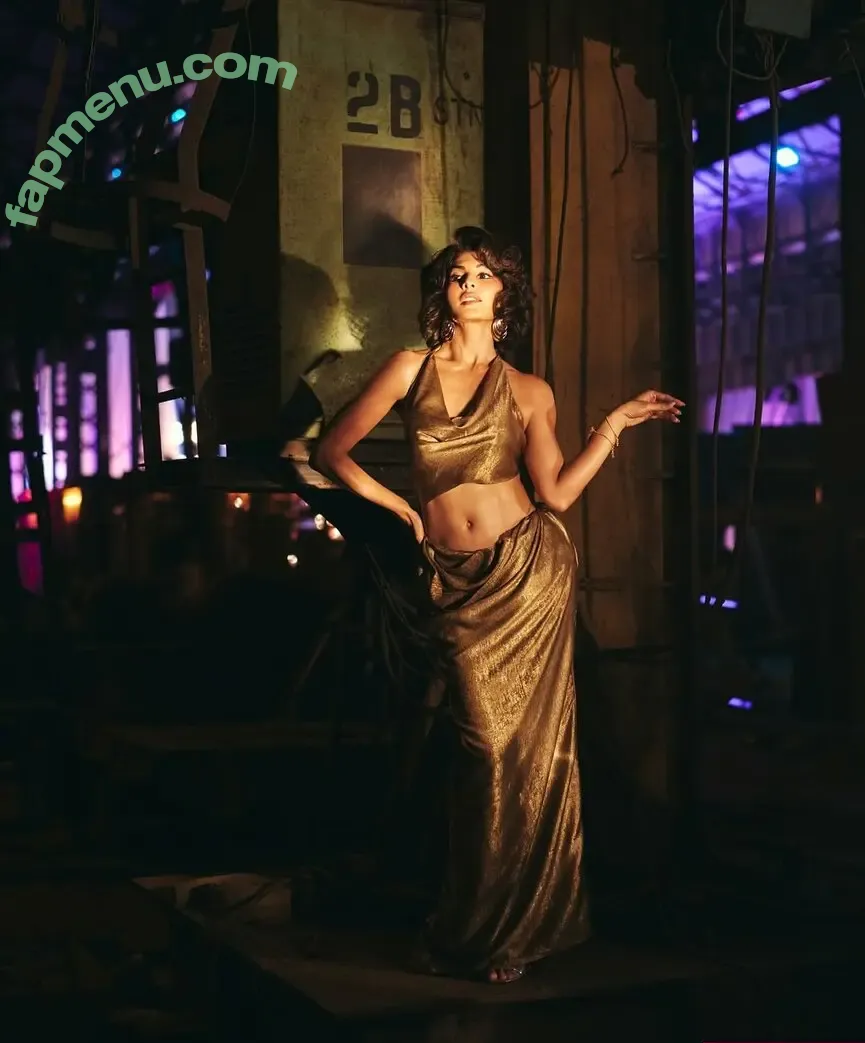 Jacqueline Fernandez nude photo #0003 (jacquelienefernandez)