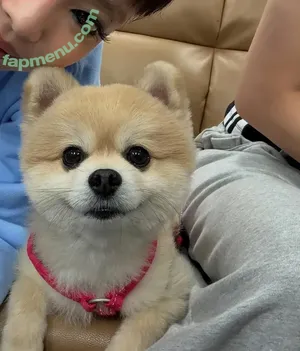 Jennie | BLΛƆKPIИK / Blackpink / jennierubyjane / sheflieshigh nude photo #2914