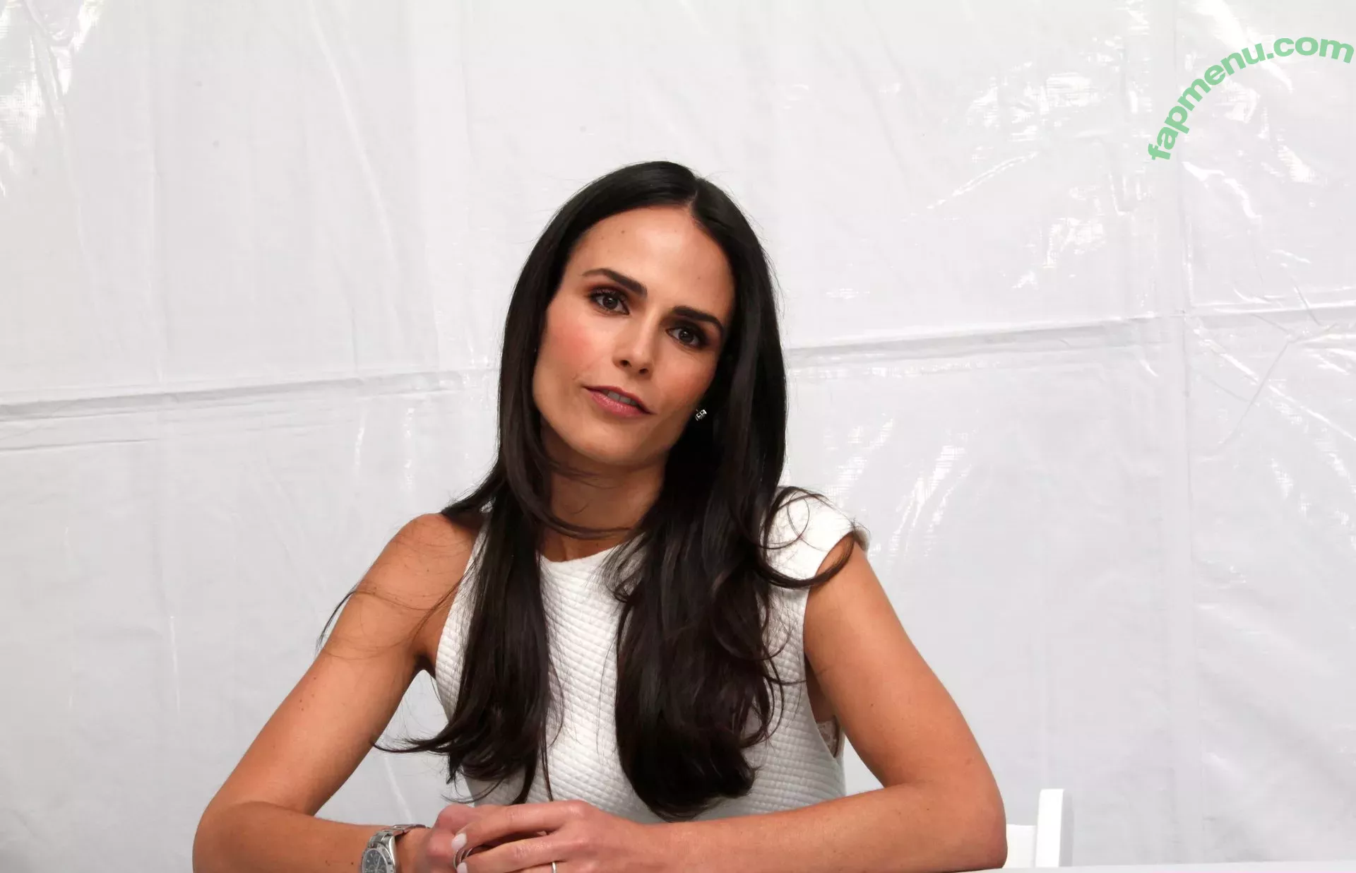 Jordana Brewster nude photo #0014 (JordanaBrewster)