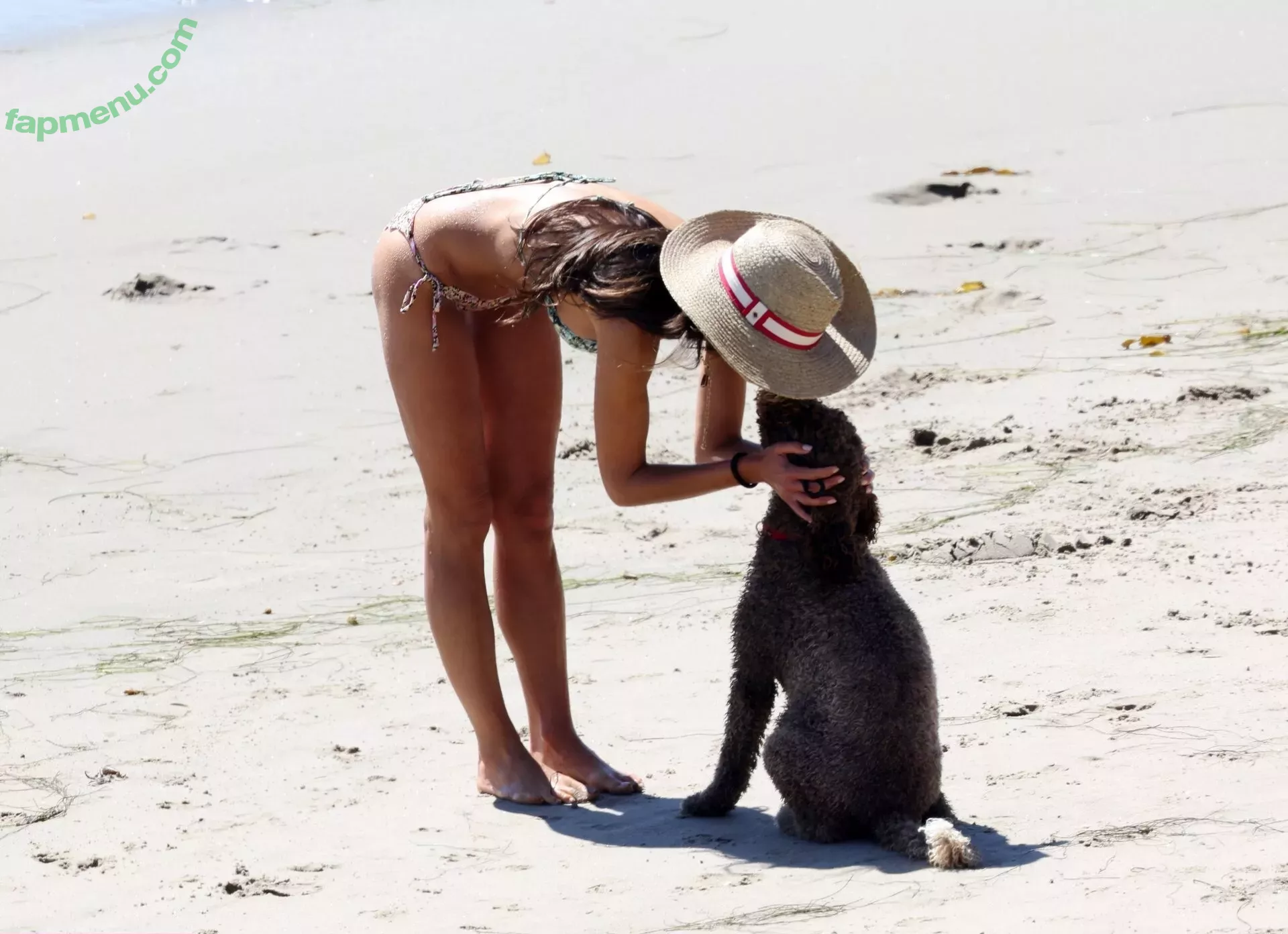 Jordana Brewster nude photo #0049 (JordanaBrewster)