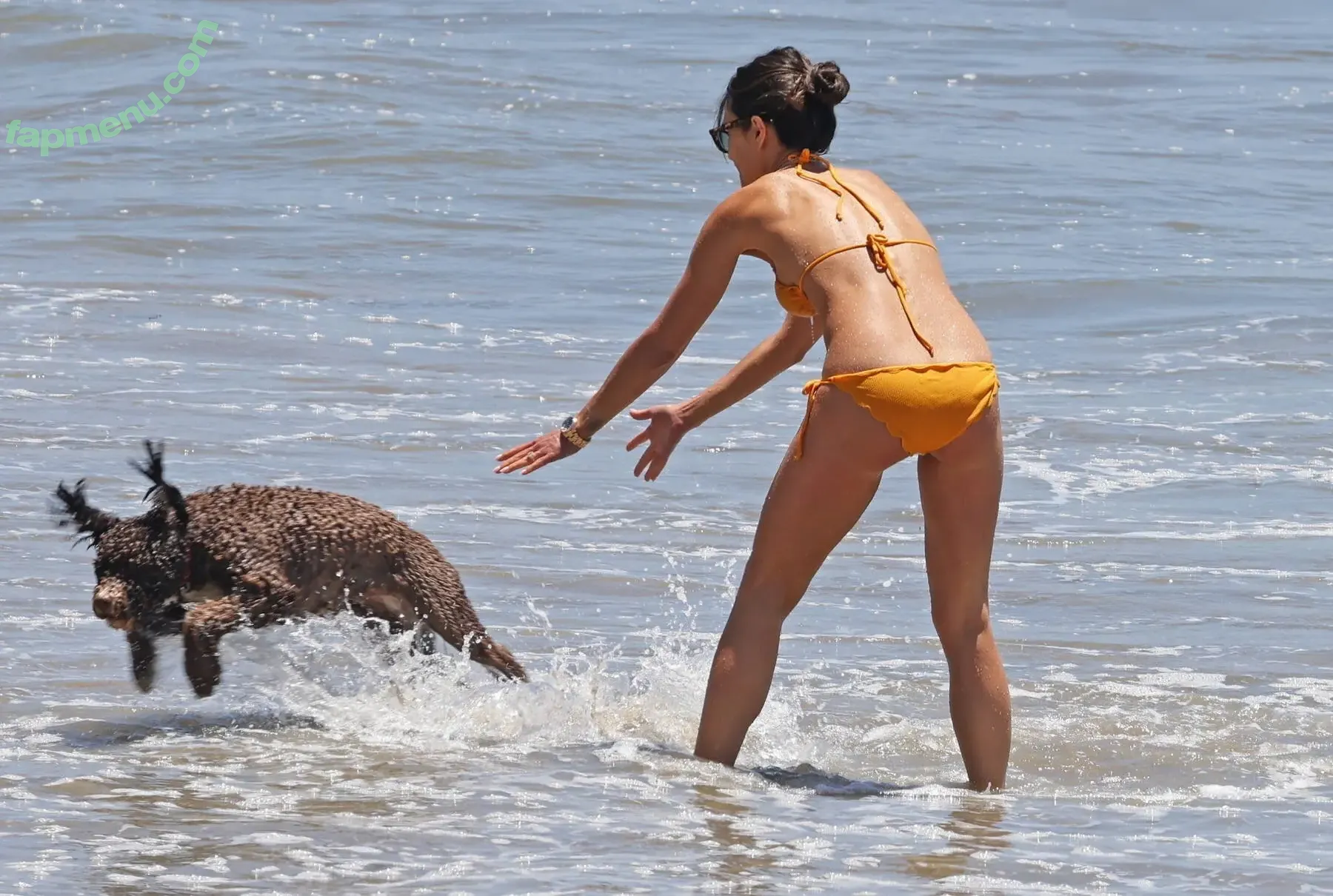 Jordana Brewster nude photo #0761 (JordanaBrewster)