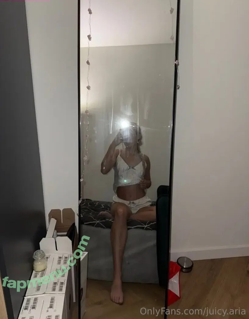 Juicy.Aria nude photo #0057 (aria_wiiinter)