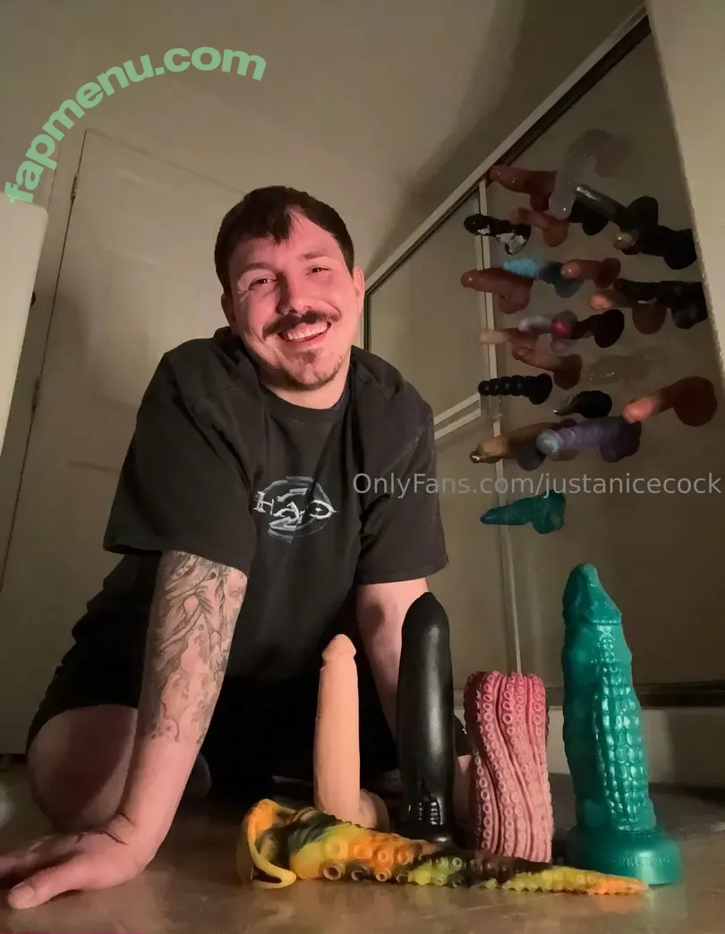 justanicecock nude photo #0102 (justanicecock)