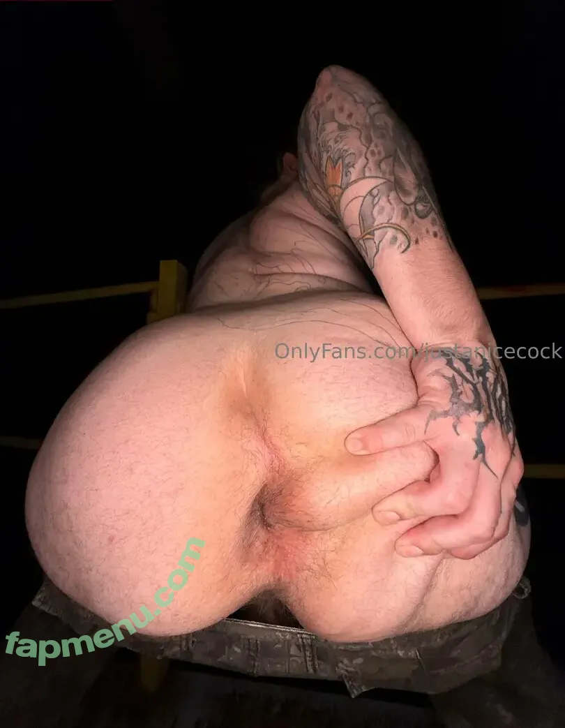 justanicecock nude photo #0116 (justanicecock)
