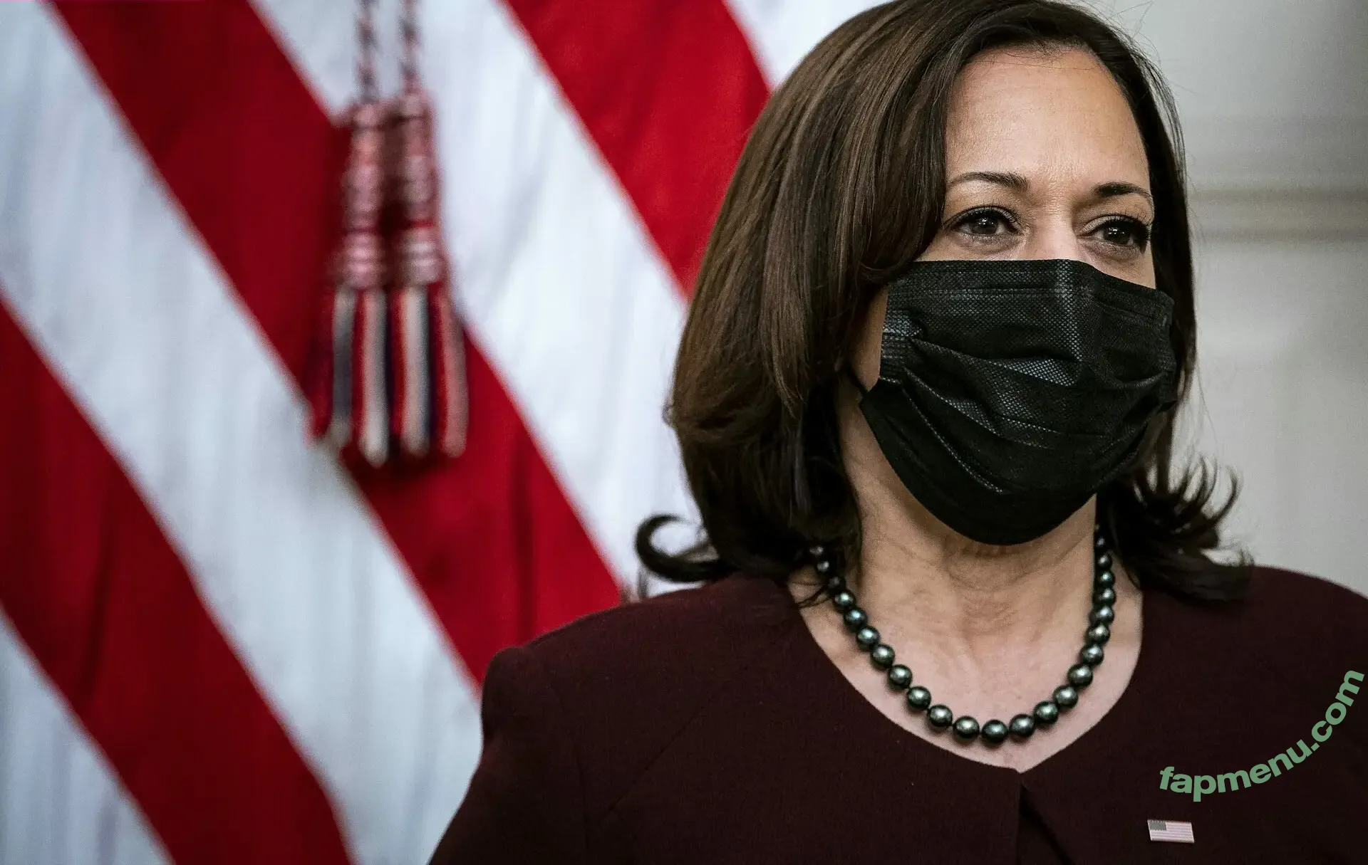 Kamala Harris nude photo #0017 (Kamala Harris)