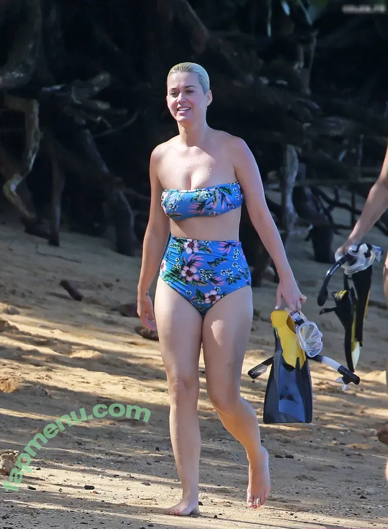 Katy Perry nude photo #3491 (katyperry)
