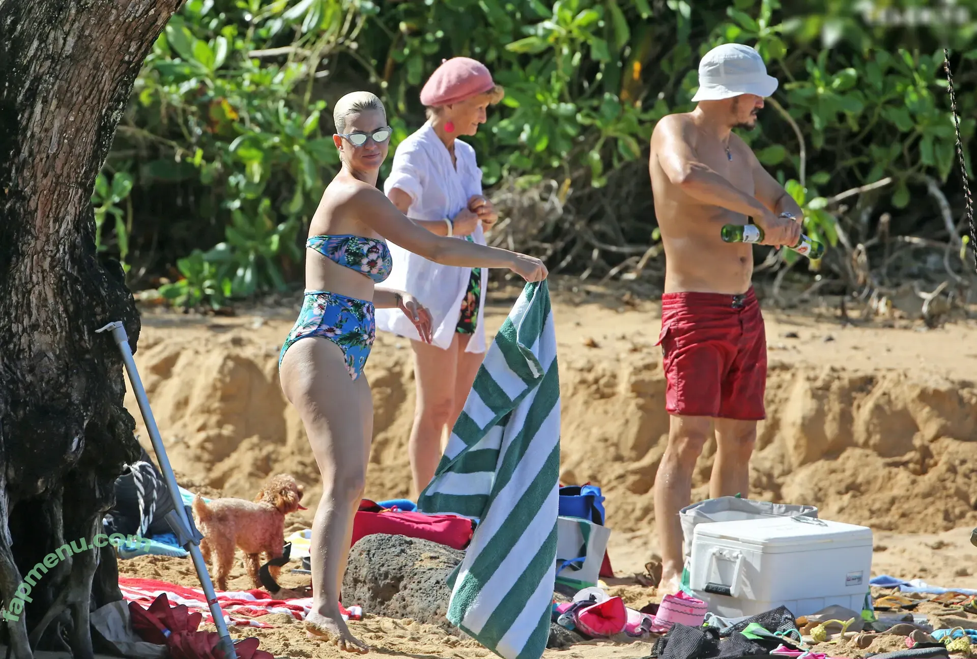 Katy Perry nude photo #3495 (katyperry)