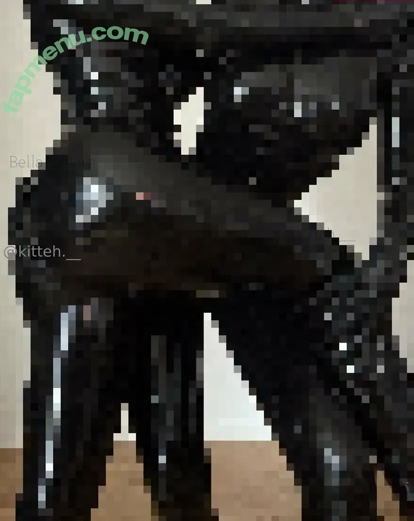 kitteh_official nude photo #0001 (kitteh.__)