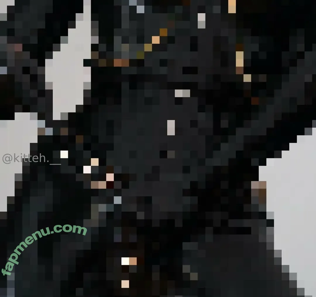 kitteh_official nude photo #0007 (kitteh.__)