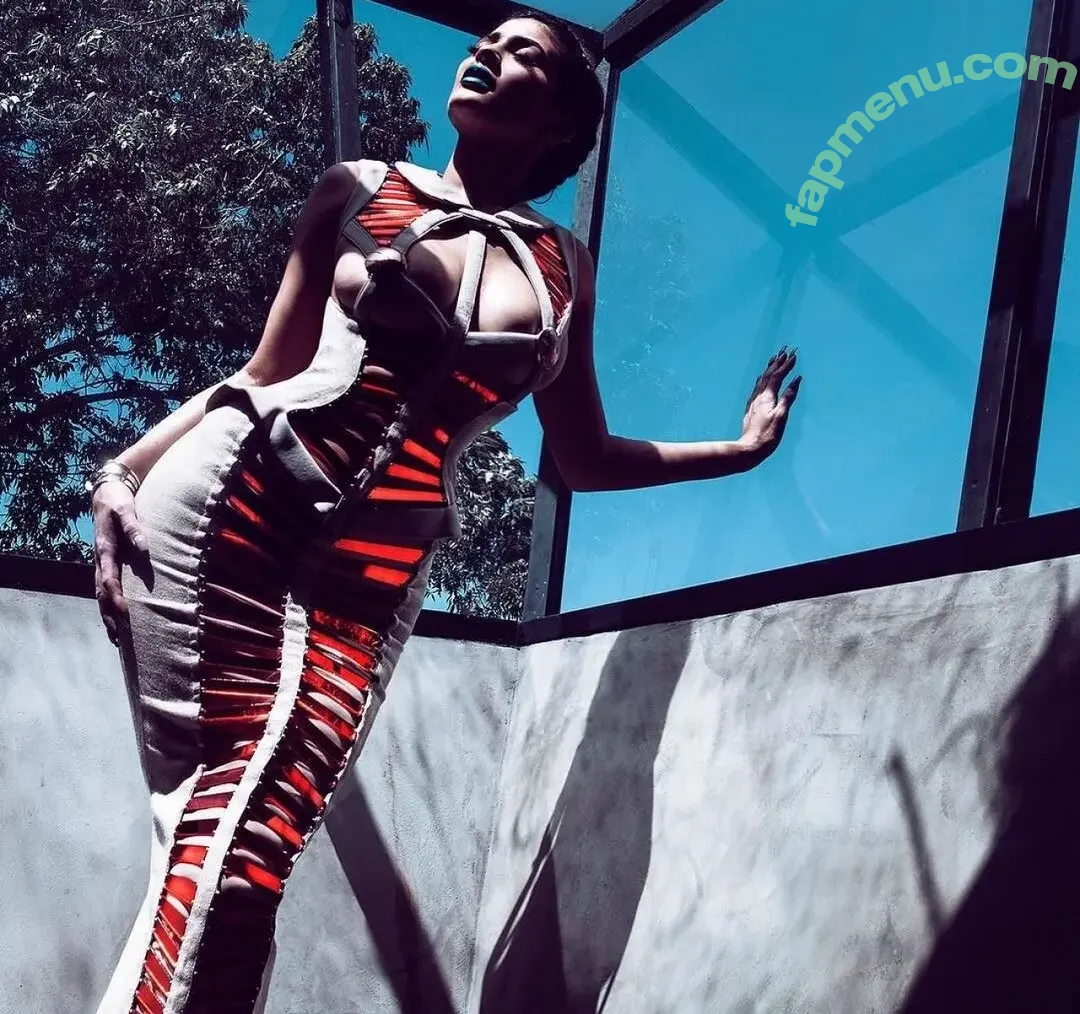 Kylie Jenner nude photo #1917 (KylieJenner / kyliejenner.2)