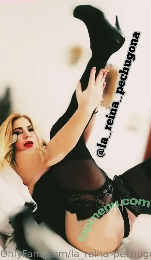 la_reina_pechugona nude photo #0026 (la_reina_pechugona)