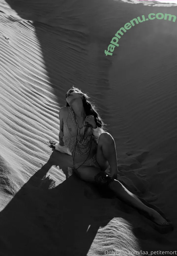 laa_petitemort nude photo #0023 (laa_petitemort)