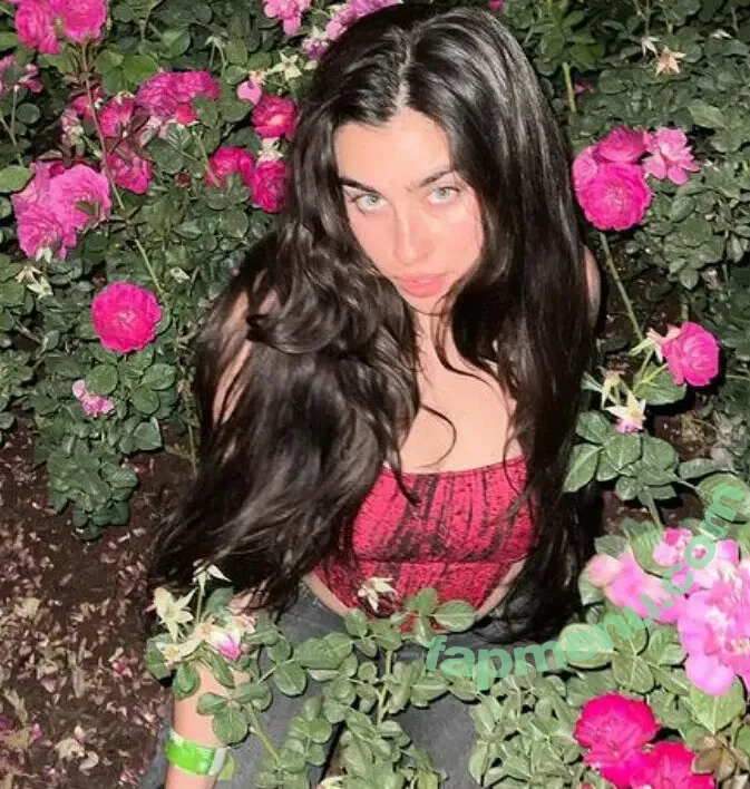 Lauren Jauregui nude photo #0031 (laurenjauregui)
