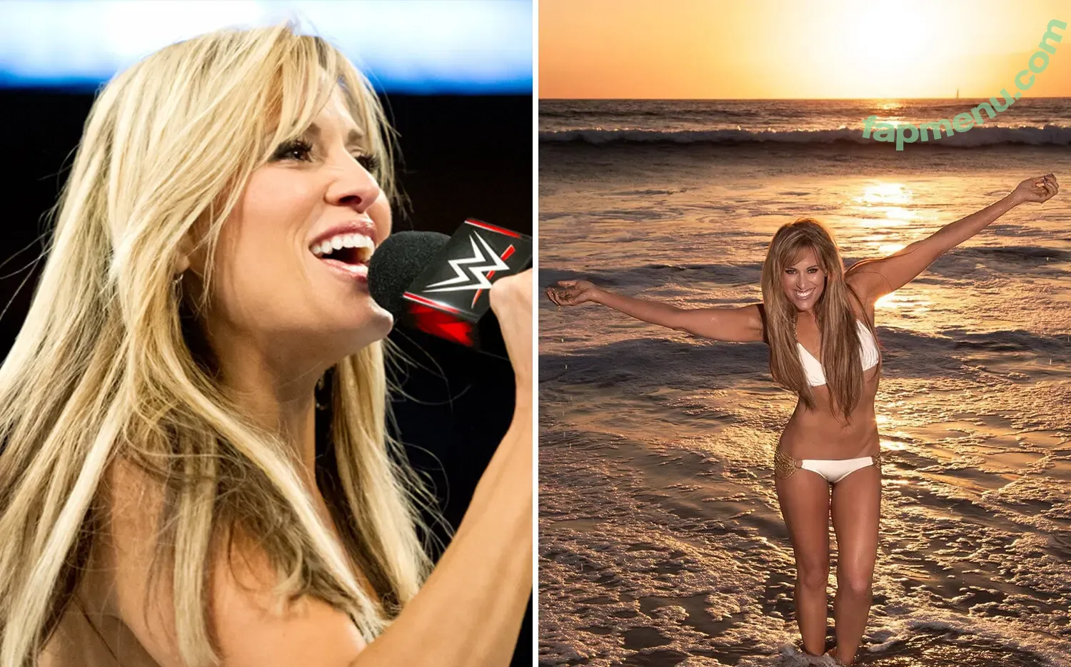 Lilian Garcia nude photo #0004 (Lilian Garcia)