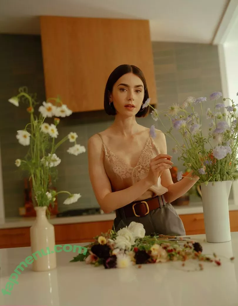 Lily Collins nude photo #0716 (lilyjcollins)