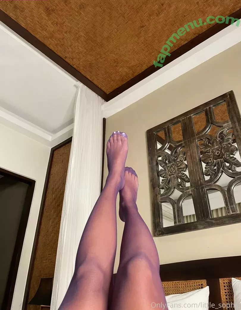 little_sophia nude photo #0225 (little_sophia__)