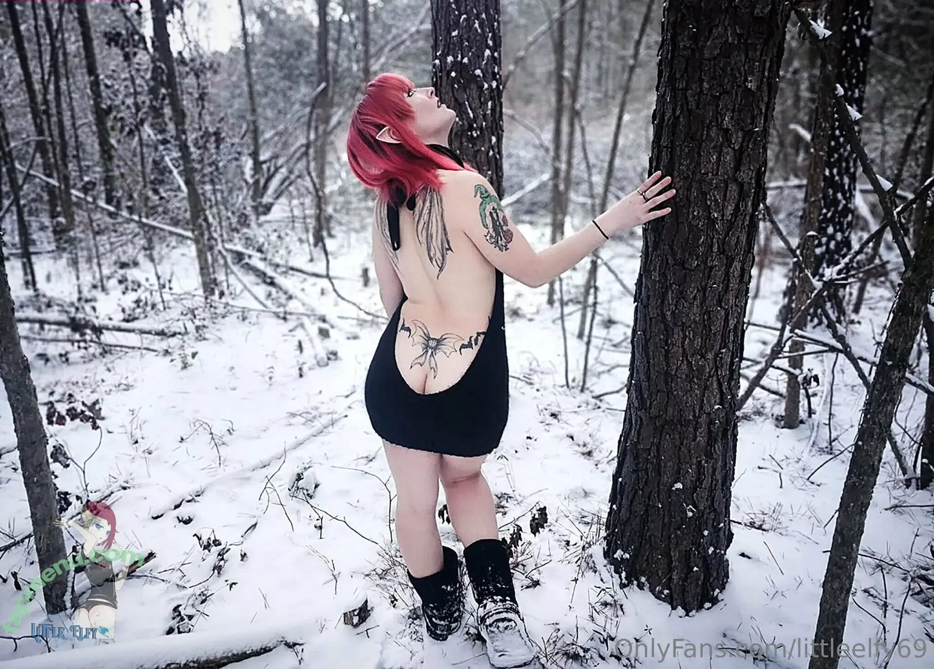 littleelfy69 nude photo #0031 (reel)
