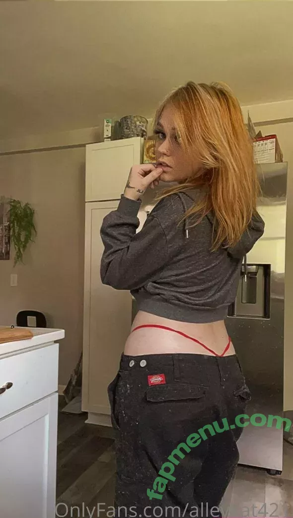lleykt421 nude photo #0019 (alleykat421)