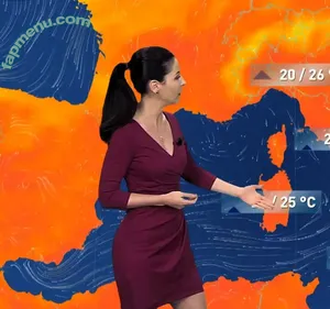 Local TV Presenters / Weather Girls / thelauraschweizer nude photo #0589