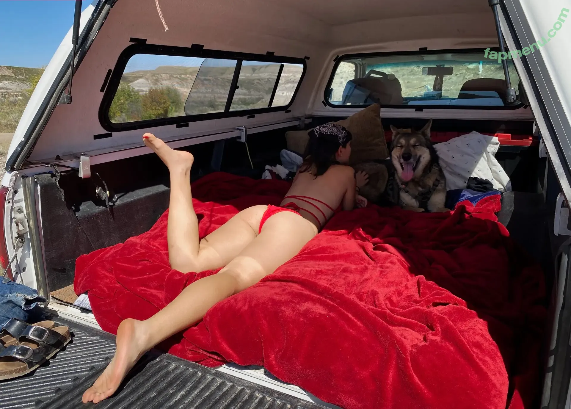 ltl_dog nude photo #0006 (ltl.wolf)