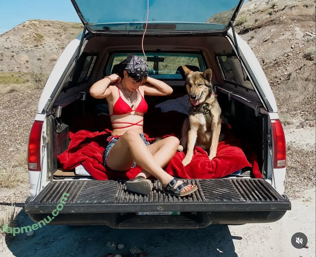 ltl_dog nude photo #0017 (ltl.wolf)