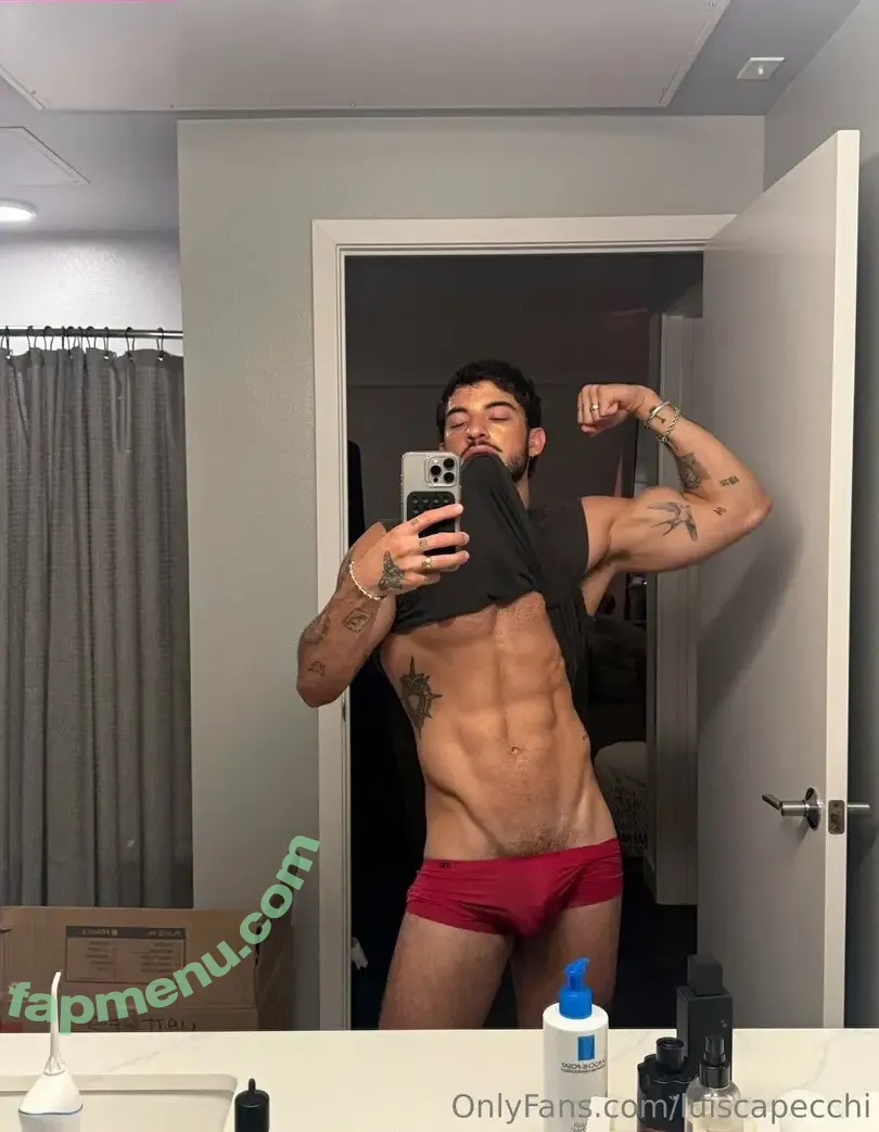 luiscapecchi nude photo #0012 (luiscapecchi)