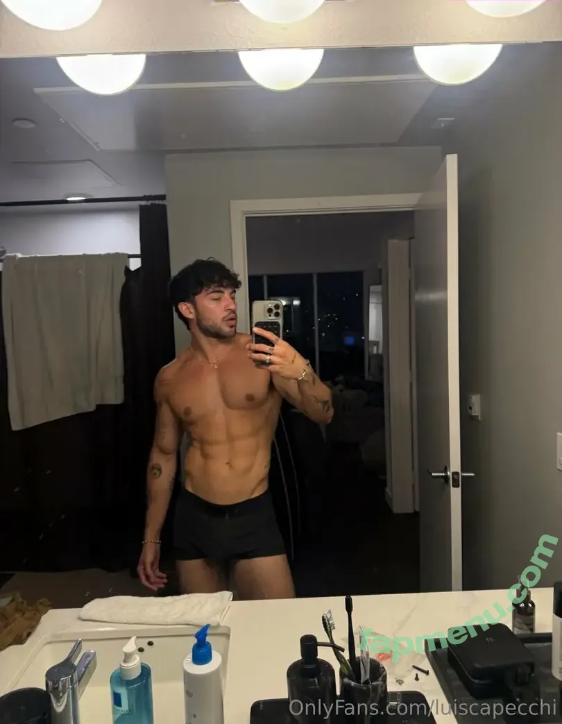 luiscapecchi nude photo #0026 (luiscapecchi)