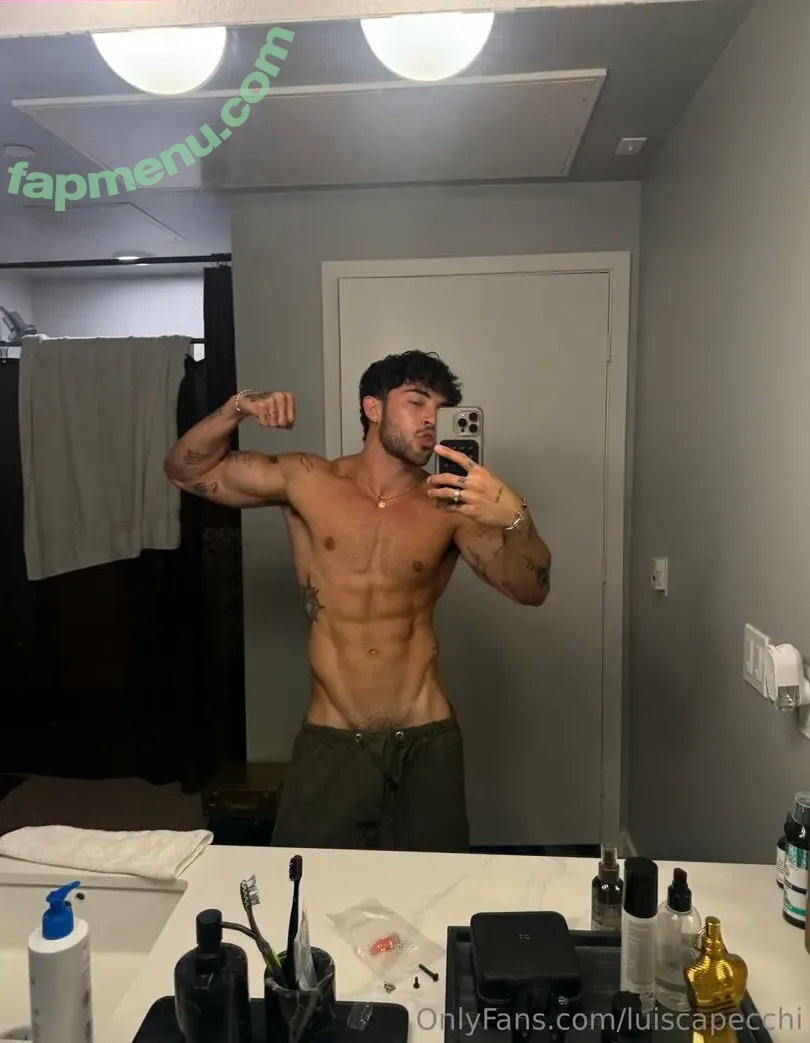 luiscapecchi nude photo #0029 (luiscapecchi)