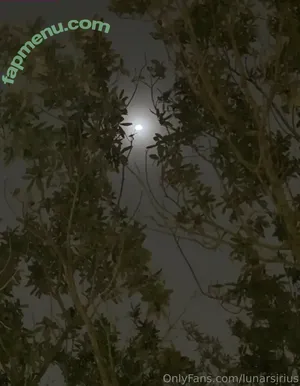 lunarsirius / lunar.sirius nude photo #0007