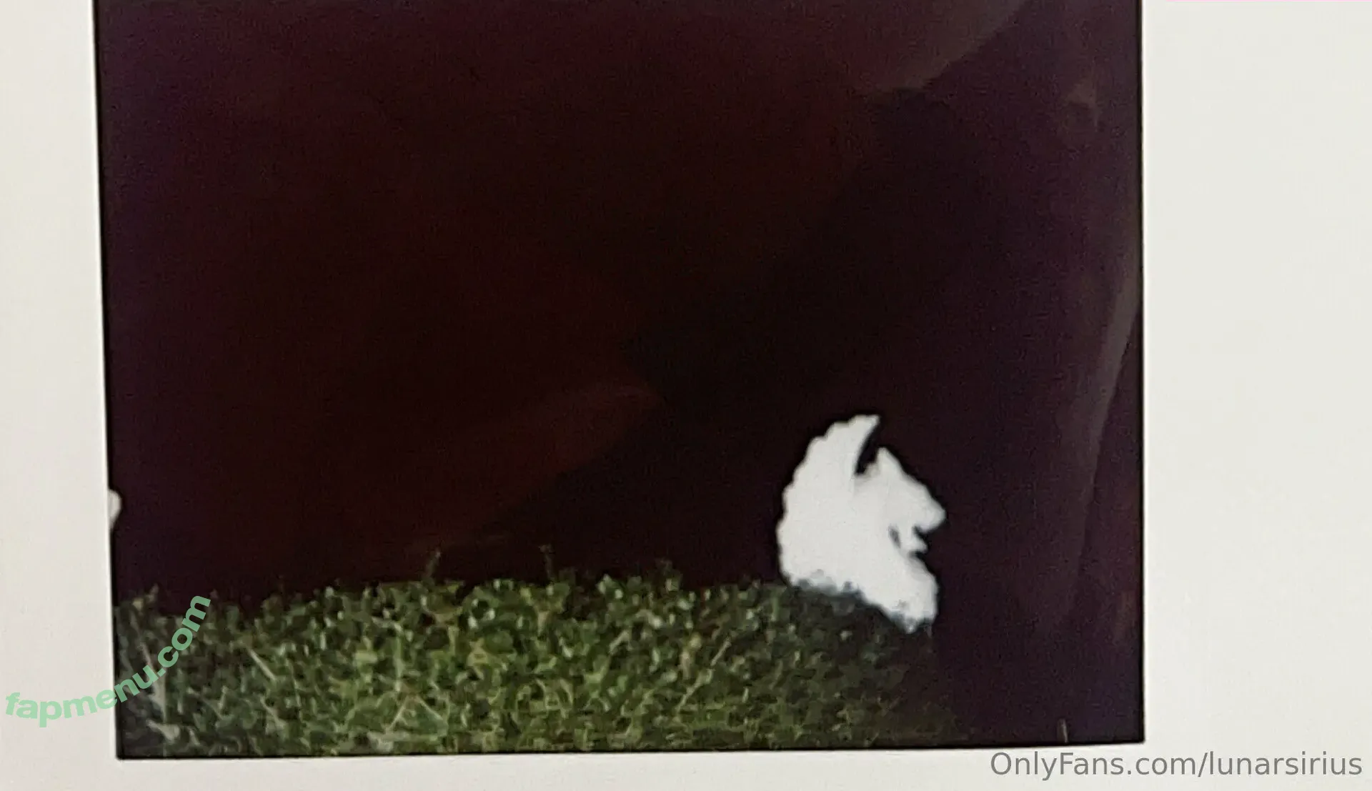 lunarsirius nude photo #0022 (lunar.sirius)