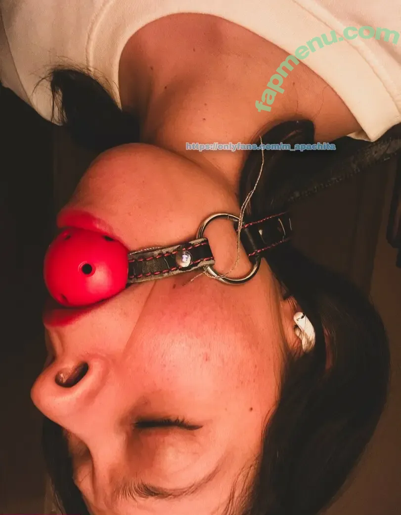 m_apachita nude photo #0171 (mapachula__)