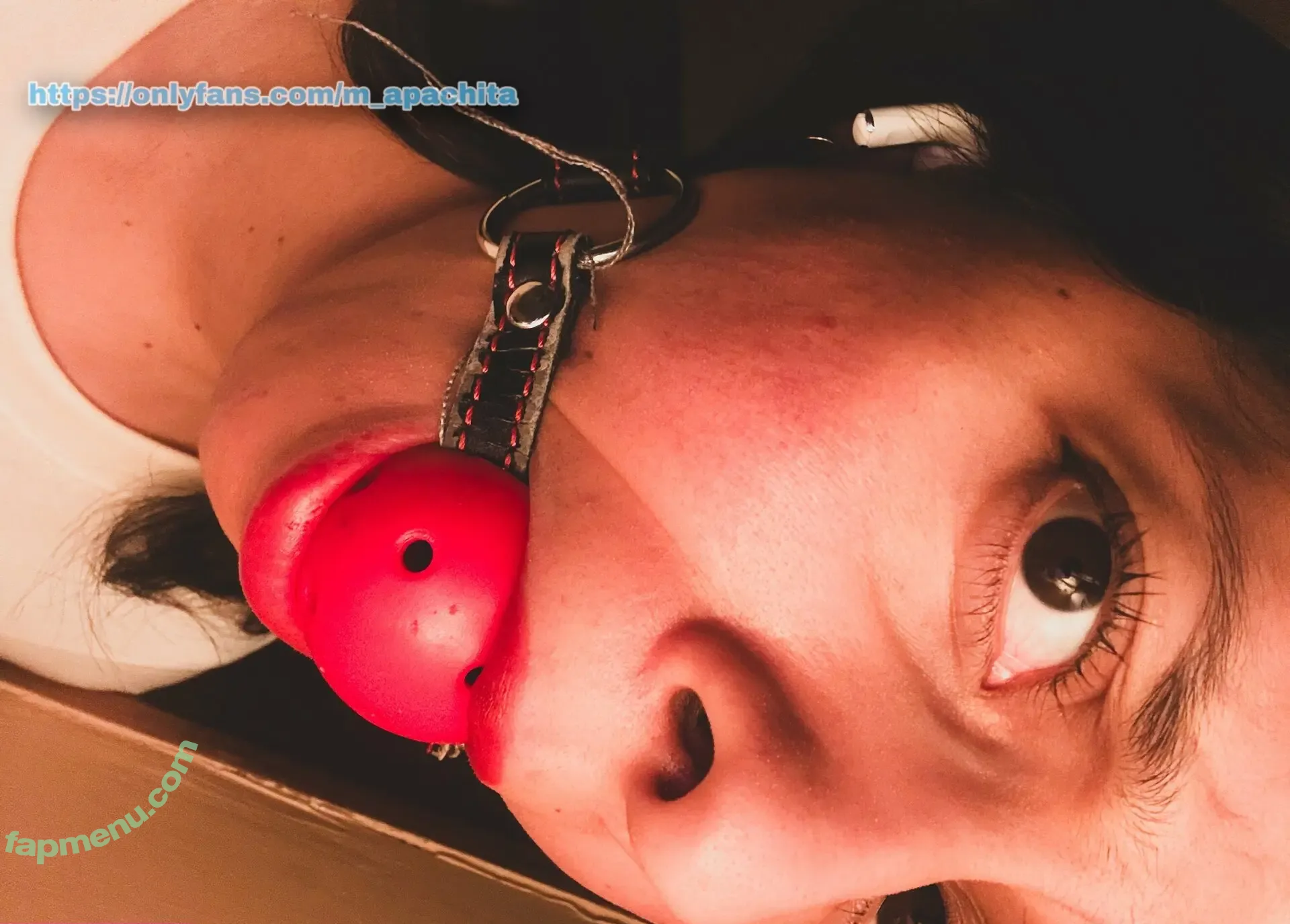 m_apachita nude photo #0174 (mapachula__)
