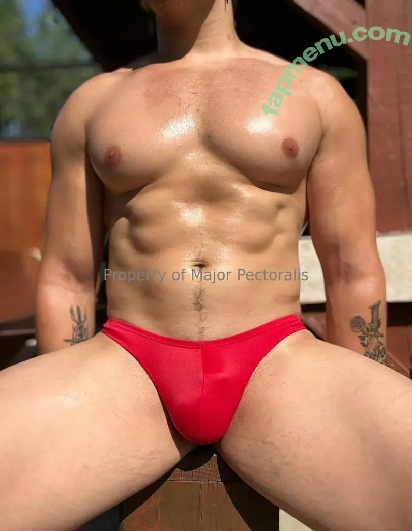 majorpectoralis nude photo #0024 (majorpectoralis)