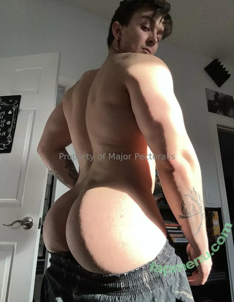 majorpectoralis nude photo #0035 (majorpectoralis)