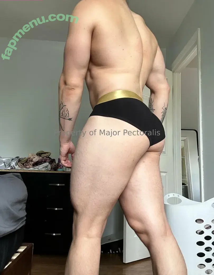 majorpectoralis nude photo #0056 (majorpectoralis)