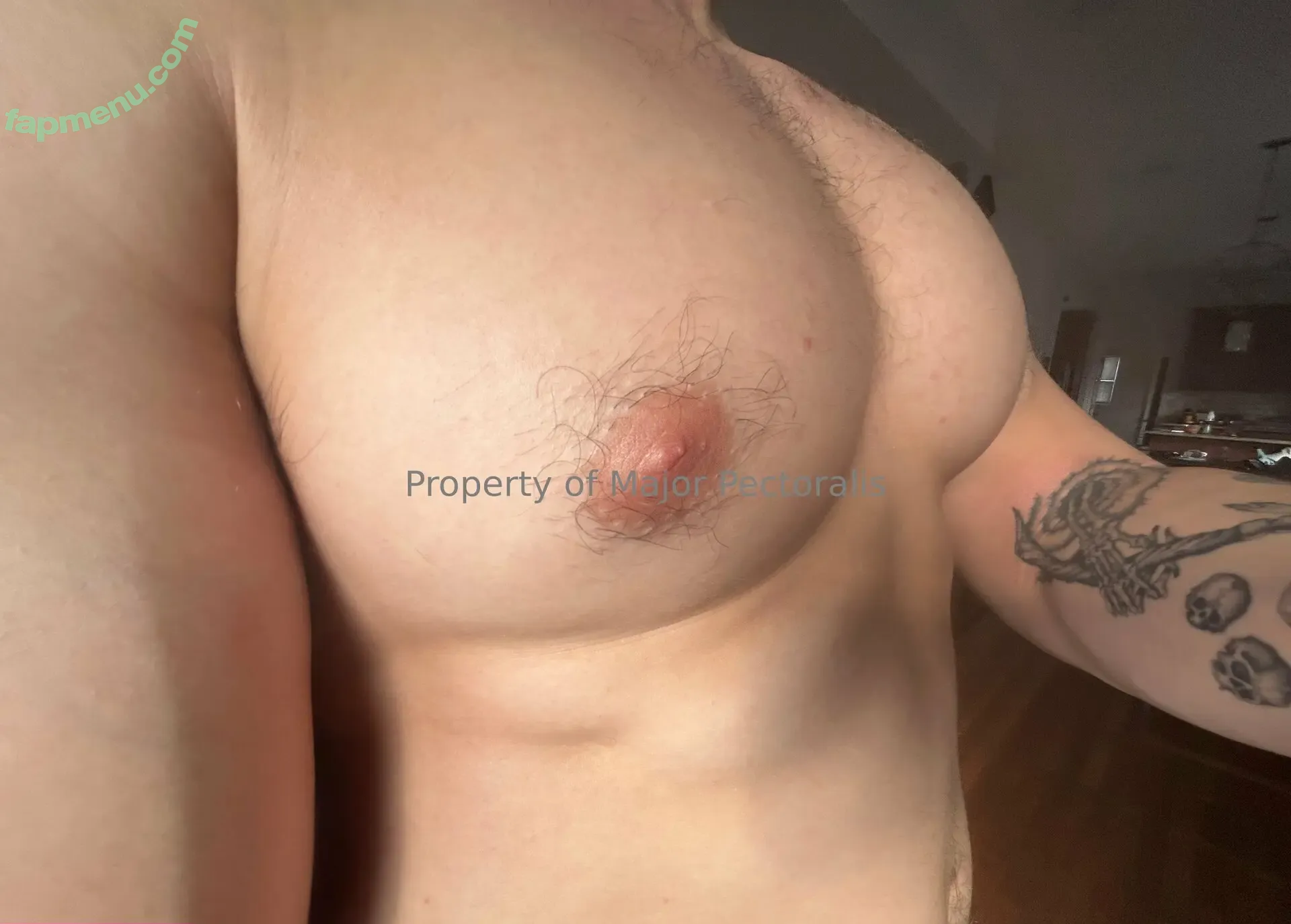 majorpectoralis nude photo #0100 (majorpectoralis)
