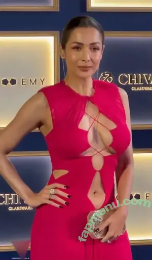 Malaika Arora / malaikaaroraofficial nude photo #0132